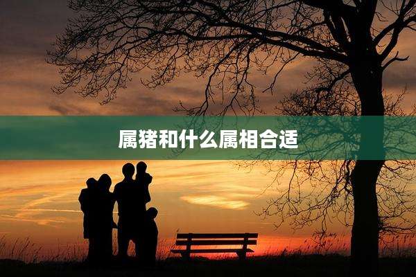 属猪和什么属相合适