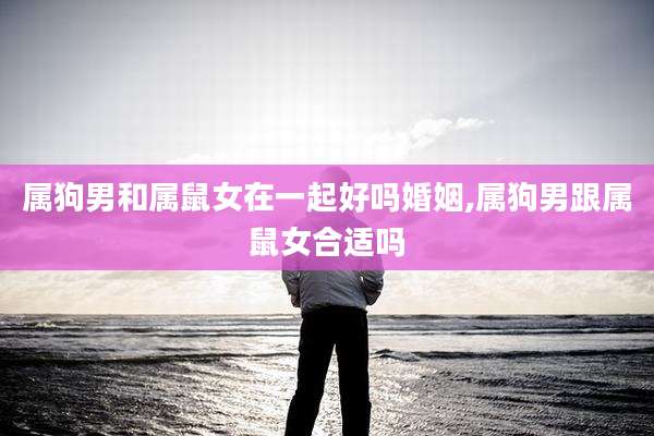 属狗男和属鼠女在一起好吗婚姻,属狗男跟属鼠女合适吗
