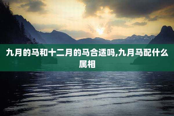 九月的马和十二月的马合适吗,九月马配什么属相