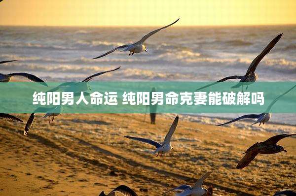 纯阳男人命运 纯阳男命克妻能破解吗