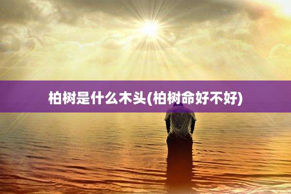 柏树是什么木头(柏树命好不好)