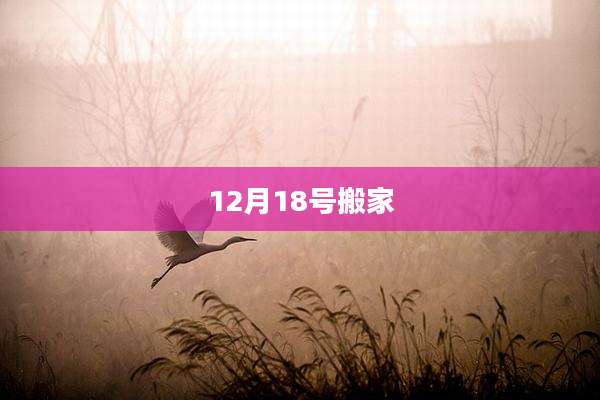 12月18号搬家