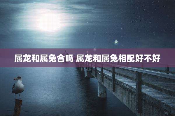 属龙和属兔合吗 属龙和属兔相配好不好
