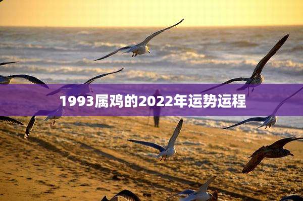 1993属鸡的2022年运势运程