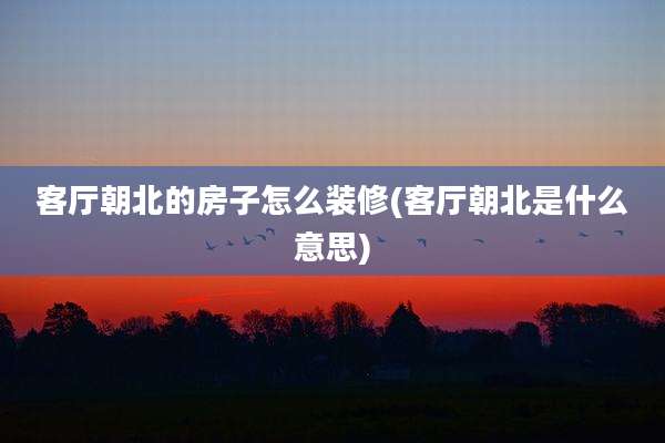 客厅朝北的房子怎么装修(客厅朝北是什么意思)