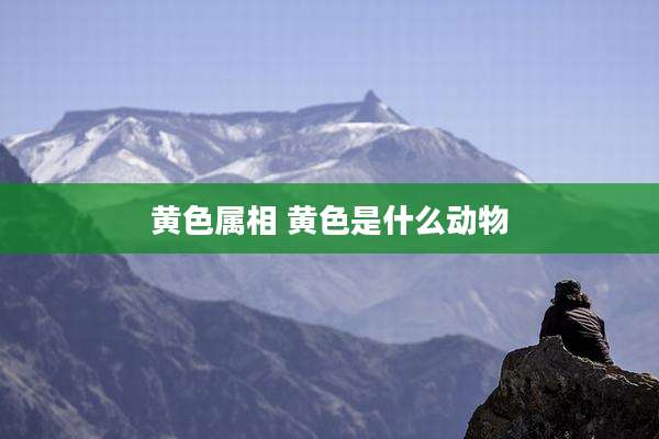 黄色属相 黄色是什么动物