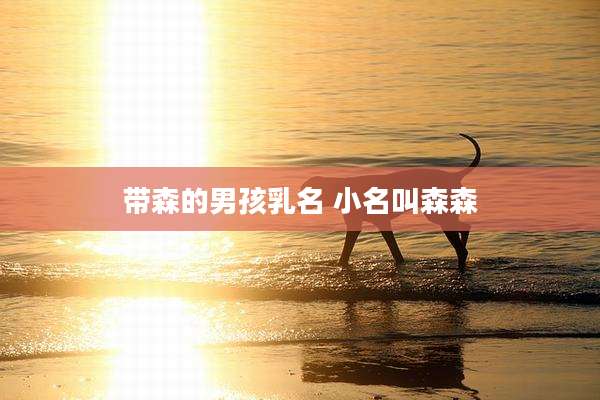 带森的男孩乳名 小名叫森森