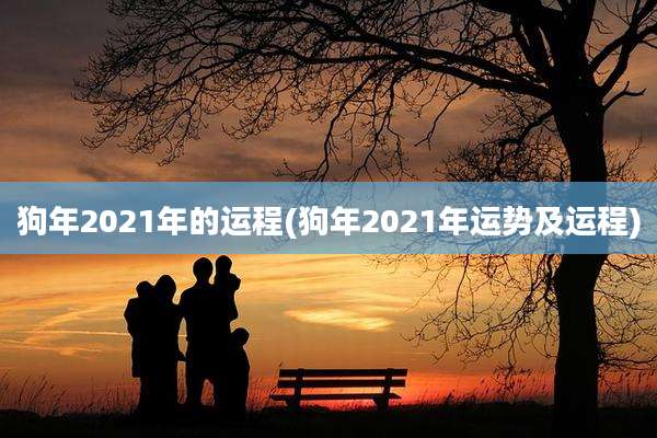 狗年2021年的运程(狗年2021年运势及运程)