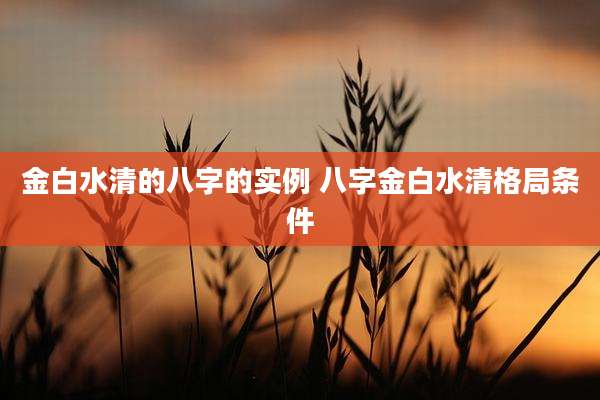 金白水清的八字的实例 八字金白水清格局条件