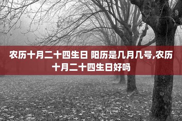 农历十月二十四生日 阳历是几月几号,农历十月二十四生日好吗