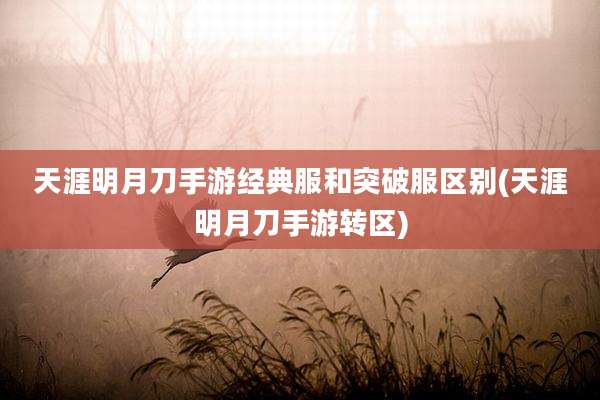 天涯明月刀手游经典服和突破服区别(天涯明月刀手游转区)
