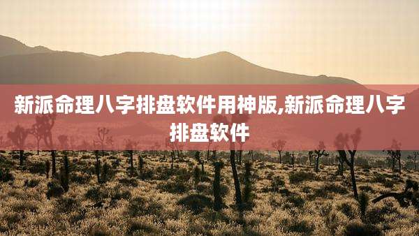 新派命理八字排盘软件用神版,新派命理八字排盘软件