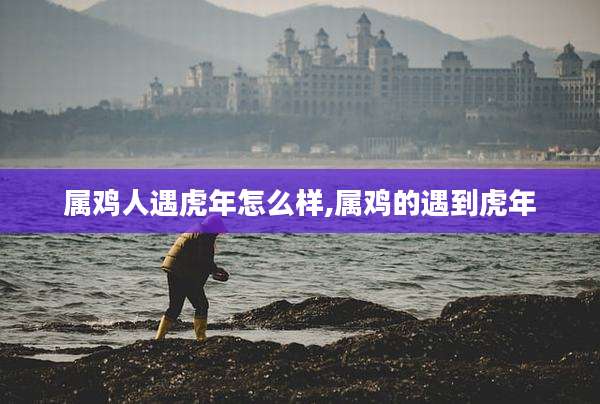 属鸡人遇虎年怎么样,属鸡的遇到虎年