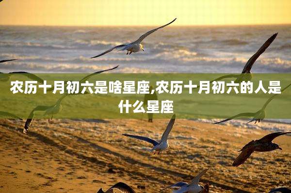 农历十月初六是啥星座,农历十月初六的人是什么星座