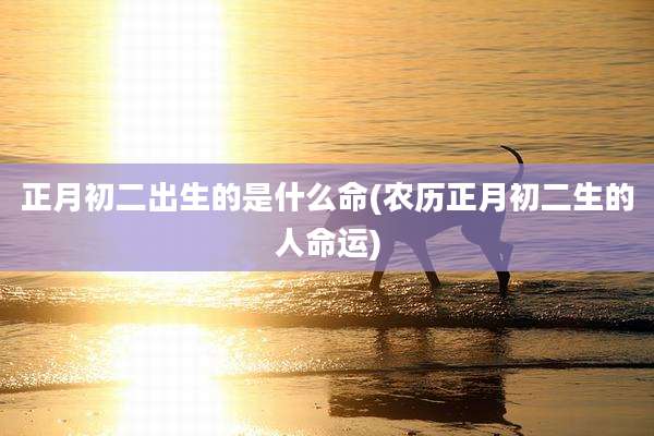 正月初二出生的是什么命(农历正月初二生的人命运)
