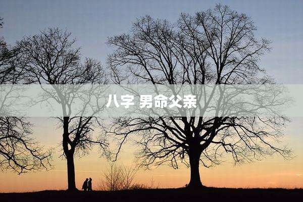 八字 男命父亲
