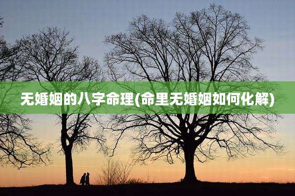 无婚姻的八字命理(命里无婚姻如何化解)