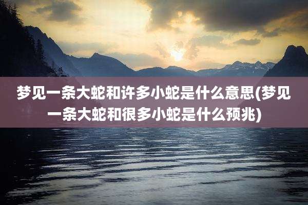梦见一条大蛇和许多小蛇是什么意思(梦见一条大蛇和很多小蛇是什么预兆)