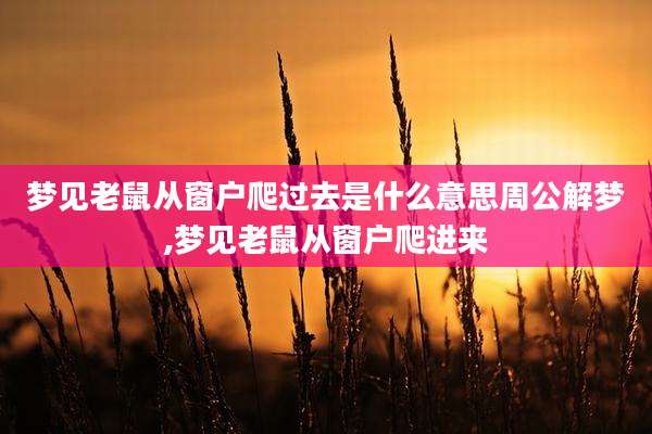 梦见老鼠从窗户爬过去是什么意思周公解梦,梦见老鼠从窗户爬进来