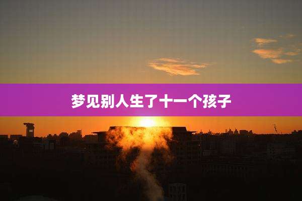 梦见别人生了十一个孩子