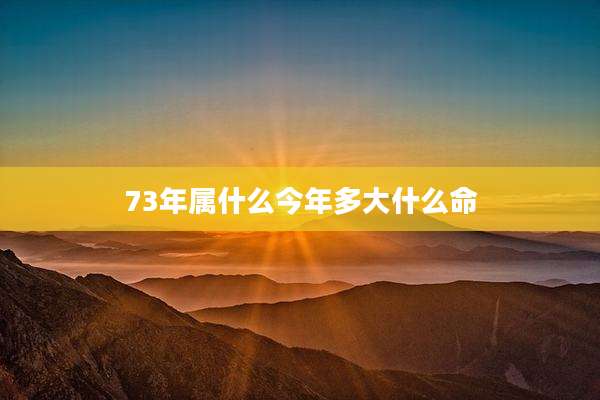 73年属什么今年多大什么命
