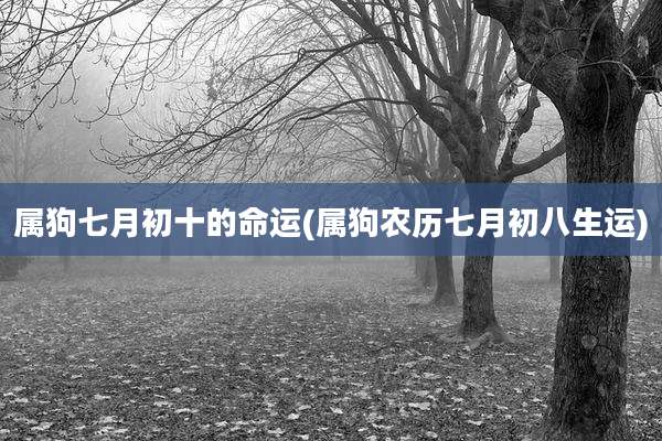 属狗七月初十的命运(属狗农历七月初八生运)