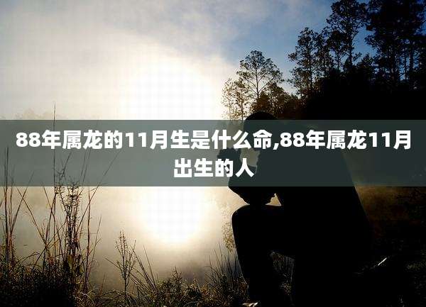 88年属龙的11月生是什么命,88年属龙11月出生的人