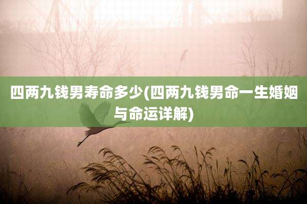 四两九钱男寿命多少(四两九钱男命一生婚姻与命运详解)