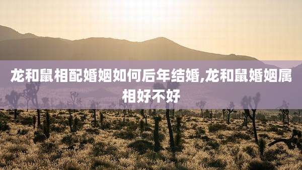 龙和鼠相配婚姻如何后年结婚,龙和鼠婚姻属相好不好