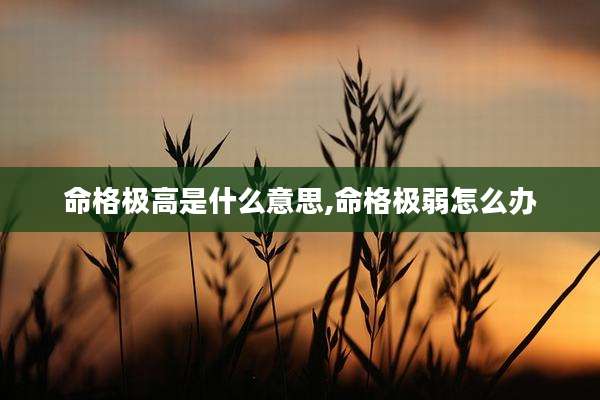 命格极高是什么意思,命格极弱怎么办