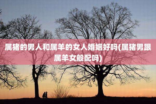 属猪的男人和属羊的女人婚姻好吗(属猪男跟属羊女般配吗)