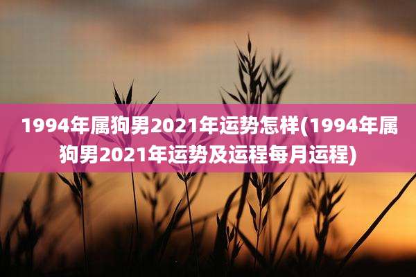 1994年属狗男2021年运势怎样(1994年属狗男2021年运势及运程每月运程)