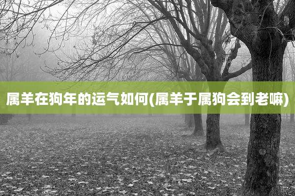 属羊在狗年的运气如何(属羊于属狗会到老嘛)