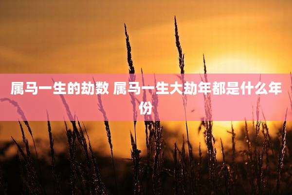 属马一生的劫数 属马一生大劫年都是什么年份