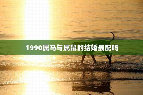 1990属马与属鼠的结婚最配吗