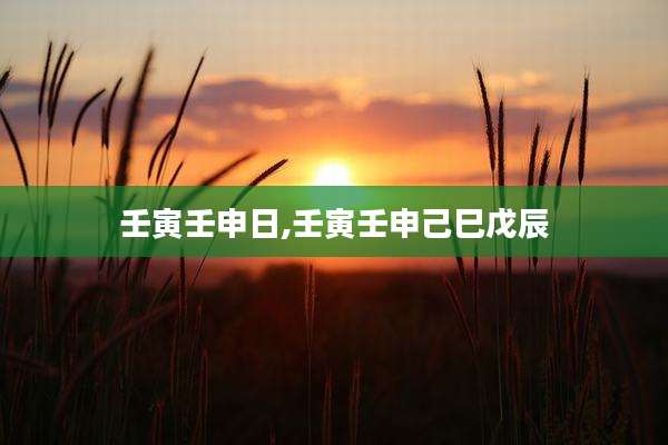 壬寅壬申日,壬寅壬申己巳戊辰