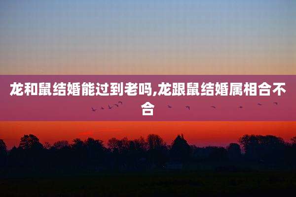 龙和鼠结婚能过到老吗,龙跟鼠结婚属相合不合