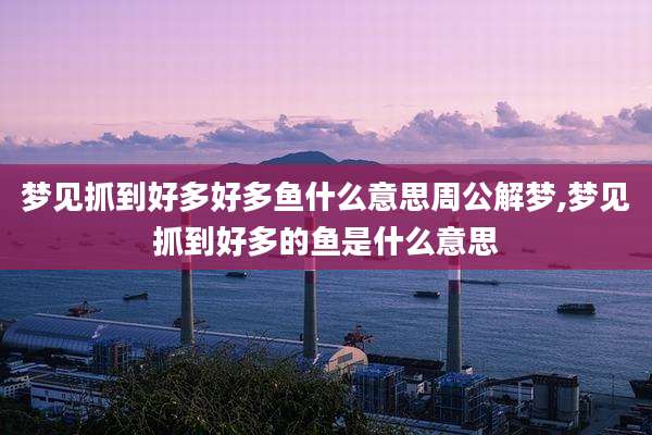 梦见抓到好多好多鱼什么意思周公解梦,梦见抓到好多的鱼是什么意思