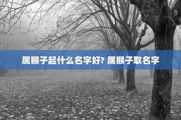 属猴子起什么名字好? 属猴子取名字