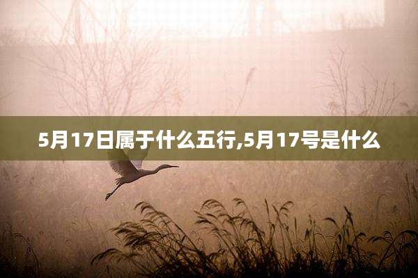 5月17日属于什么五行,5月17号是什么