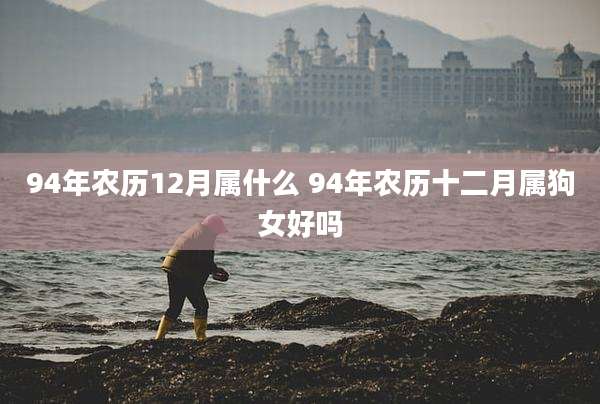 94年农历12月属什么 94年农历十二月属狗女好吗