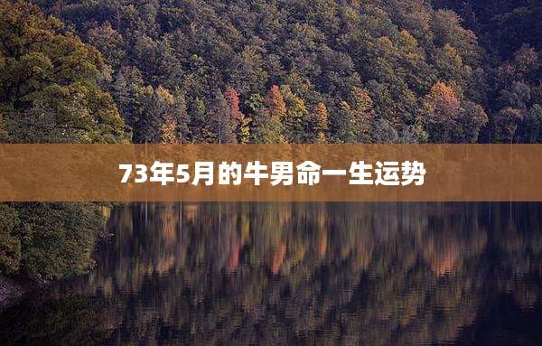 73年5月的牛男命一生运势
