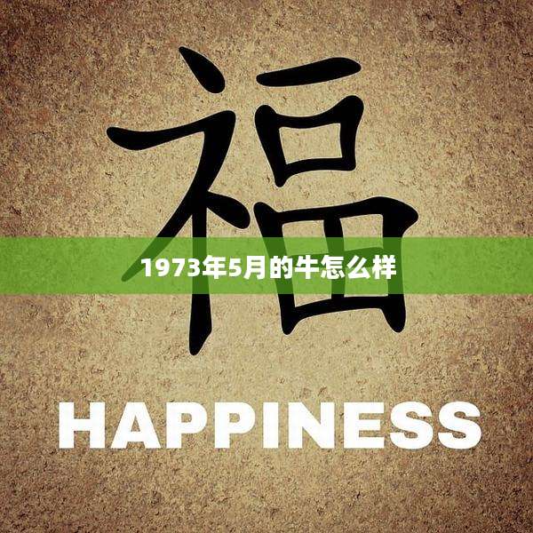 1973年5月的牛怎么样