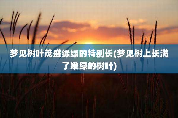 梦见树叶茂盛绿绿的特别长(梦见树上长满了嫩绿的树叶)