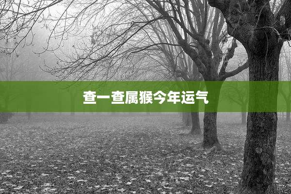 查一查属猴今年运气