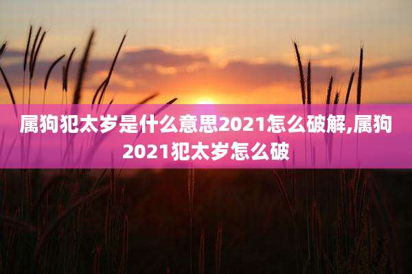 属狗犯太岁是什么意思2021怎么破解,属狗2021犯太岁怎么破