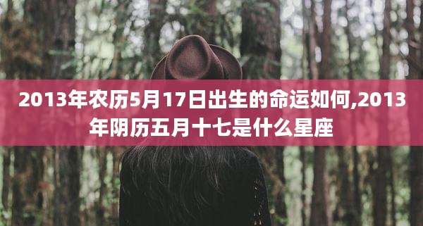 2013年农历5月17日出生的命运如何,2013年阴历五月十七是什么星座