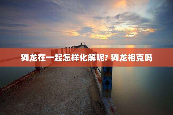 狗龙在一起怎样化解呢? 狗龙相克吗