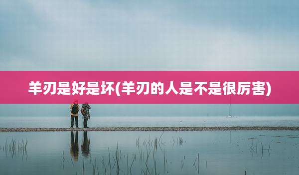 羊刃是好是坏(羊刃的人是不是很厉害)