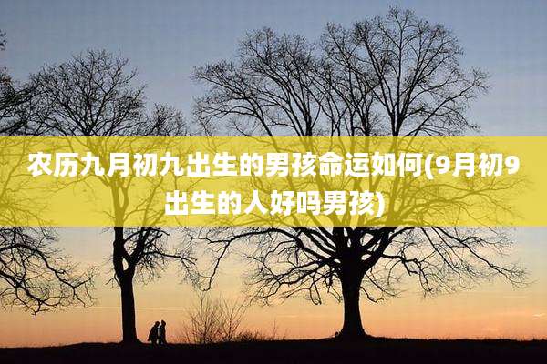 农历九月初九出生的男孩命运如何(9月初9出生的人好吗男孩)